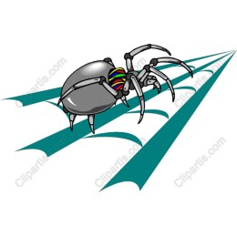 Vibrant Spider