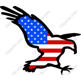 Patriotic Eagle
