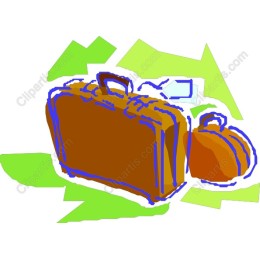 Stylish Luggage