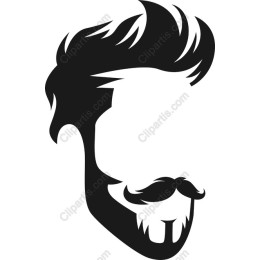 Chic Man Hairstyle and Beard