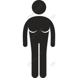 Human Figure