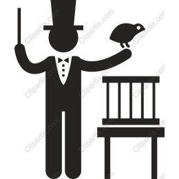 Magician's Illusion with Turtle