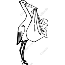 Stork with Baby