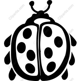 Charming Ladybug