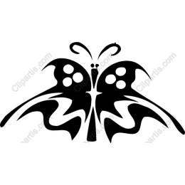 Elegant Butterfly