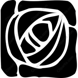Elegant Black and White Rose