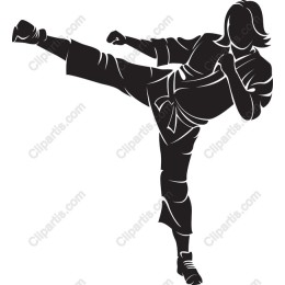 Dynamic Martial Artist Kick