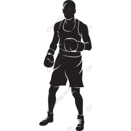 Professional Boxer