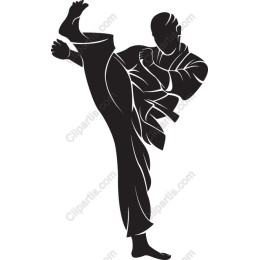 Dynamic Martial Artist