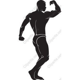 Muscular