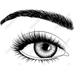 Elegant Eye Drawing in Black and White