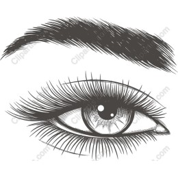 Elegant Eye