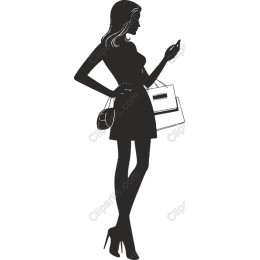 Chic Fashionista