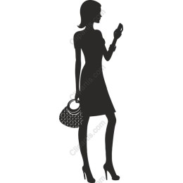 Chic Fashionista
