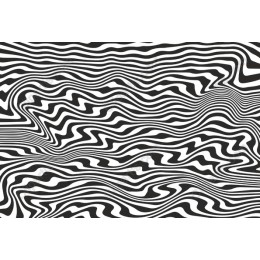 Abstract Zebra Stripe