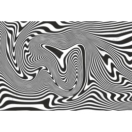 Hypnotic Black and White Wave Pattern
