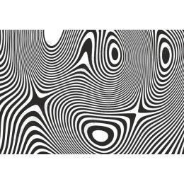 Modern Black and White Abstract Waves