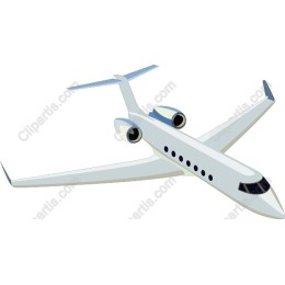 Sleek Private Jet