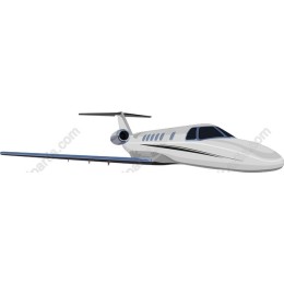 Luxury Private Jet