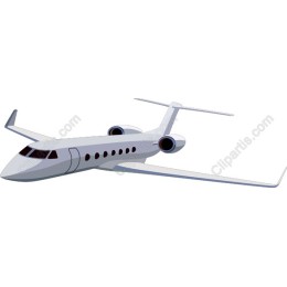 Sleek Private Jet