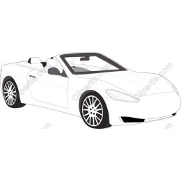 Sleek Convertible Car