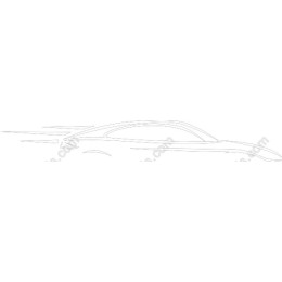 Dynamic Race Car