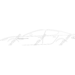 Sleek Car