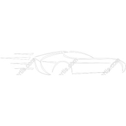 Dynamic Car