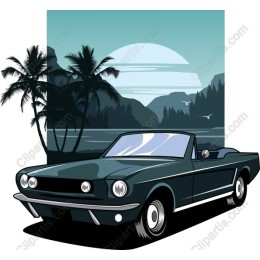 Tropical Classic Convertible Car