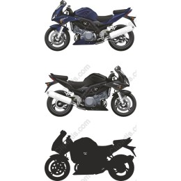 Premium Motorcycle