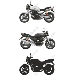 Dynamic Motorcycle