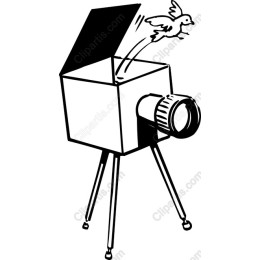 Vintage Camera with Flying Bird