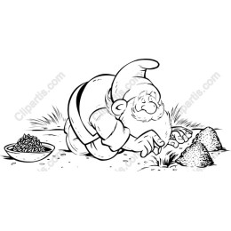 Whimsical Gnome Adventure