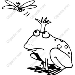 Whimsical Frog and Insect