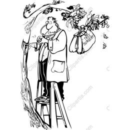 Whimsical Tree Surgeon