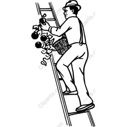 Vintage Fruit Picker Climbing Ladder