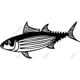 Elegant Fish in