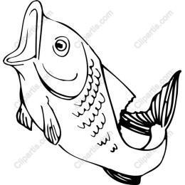 Playful Fish