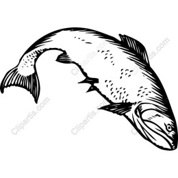 Jumping Fish