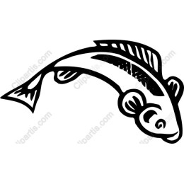 Stylized Fish