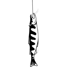 Elegant Black and White Fish