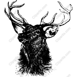 Majestic Stag