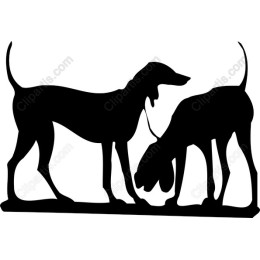 Playful Dog