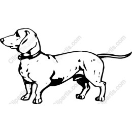 Dachshund Delight