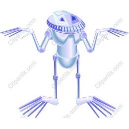 Futuristic Robot Frog