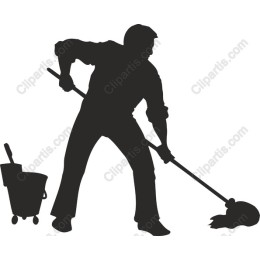 Professional Cleaner