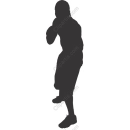 Dynamic Boxer