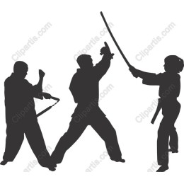 Martial Arts Action