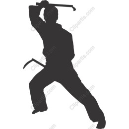 Ninja Action