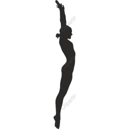 Dynamic Diver